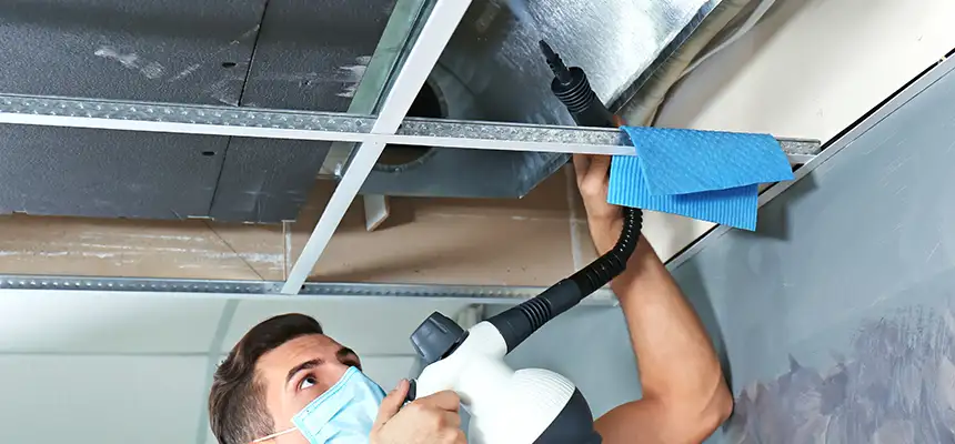 Our Air Duct Rodent Removal Services in San Gabriel, CA