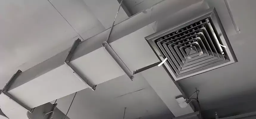 Restorative Allergy Relief Vent Cleaning – Coil, Blower & Housing Detail in San Gabriel