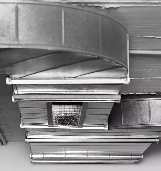 Professional Air Duct Pest Removal in San Gabriel, CA