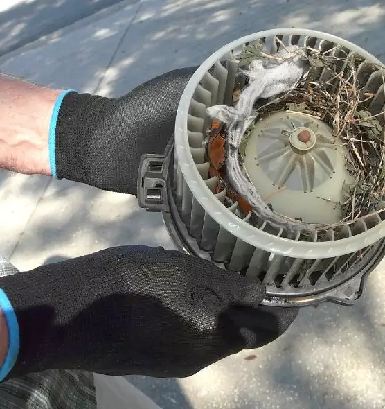 About Air Duct Rat Removal in San Gabriel, CA