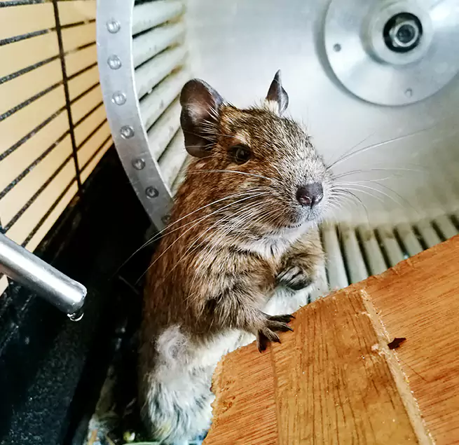 Why Homeowners & Businesses Trust Us San Gabriel, CA