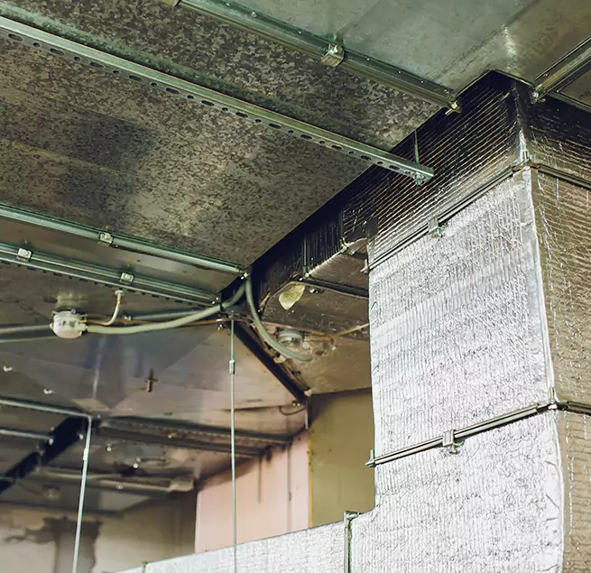 Why Homeowners & Businesses Trust Us in San Gabriel, CA?